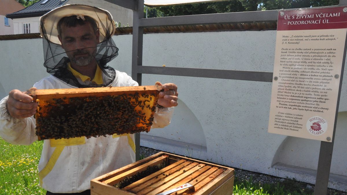 Včelaříci z Hostinného stočili první med